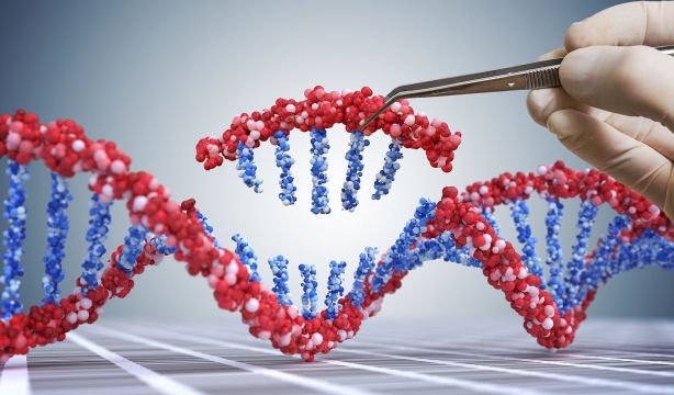 Los hallazgos se basan en mutaciones genéticas. Bigstock