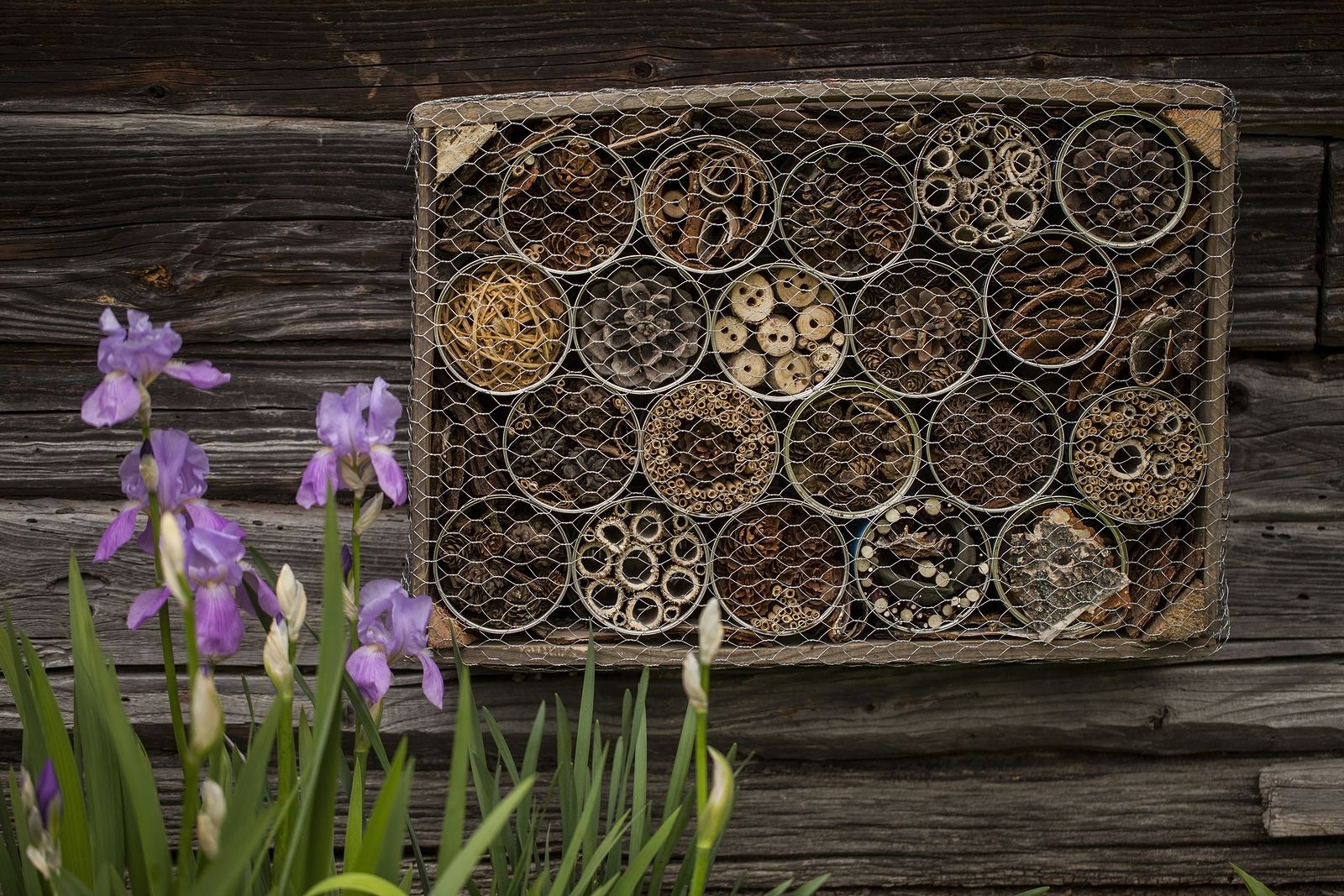 Cómo hacer un hotel de insectos beneficioso para tu huerta o jardín