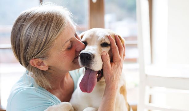 Algunos perros pueden aprender palabras nuevas escuchando a escondidas a sus dueños