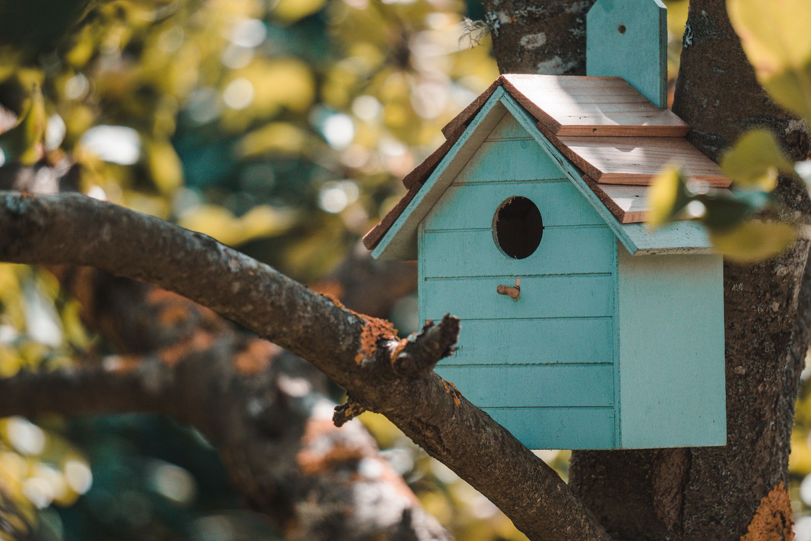 Aprender acerca 51+ imagen casas de pájaros para jardín