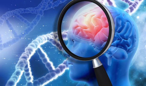 Descubren el rol "decisivo" de una proteína en la progresión del alzhéimer