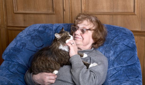 La terapia con animales mejora movilidad y bienestar en personas mayores