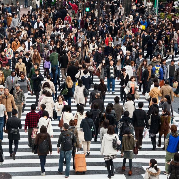 bigstock Shibuya Crossing 66009040
