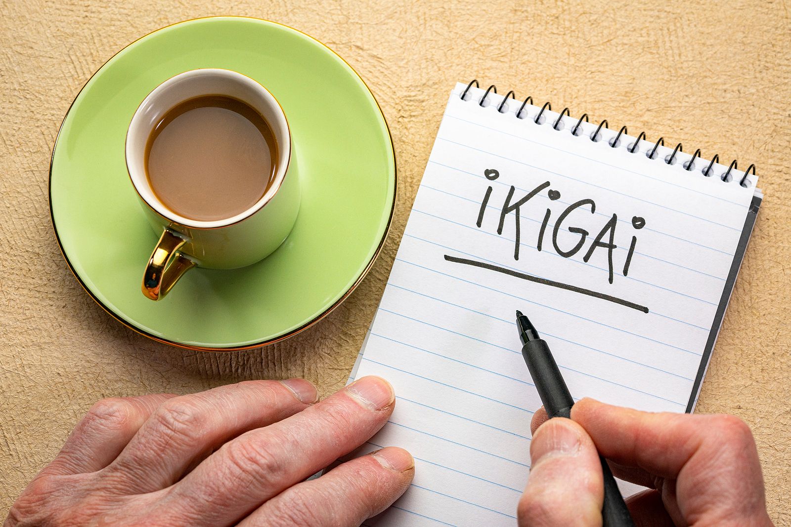 Las 10 claves del 'Ikigai': el secreto japonés para una vida larga y feliz Las 10 claves del 'Ikigai': el secreto japonés para una vida larga y feliz
