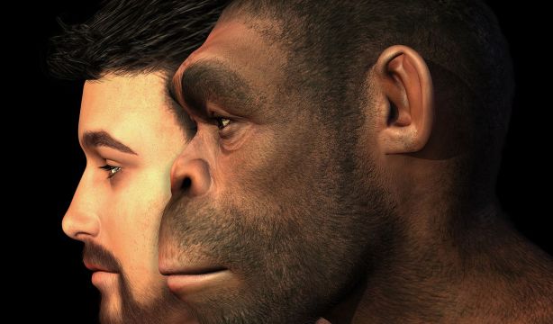 Hallan la evidencia más antigua del cruce entre sapiens y neandertales