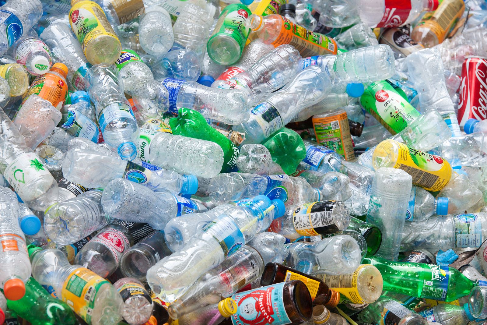 Por qué se debe reducir el consumo de plástico (Bigstock)