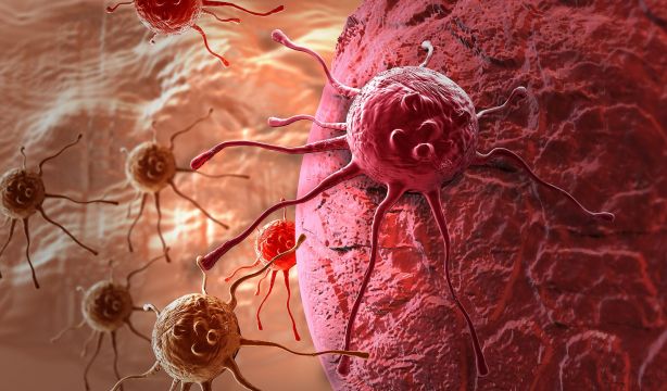 La vitamina C podría ayudar a vencer la resistencia del cáncer de colon a la quimioterapia