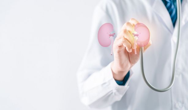 Desarrollan un riñón artificial portátil para los enfermos con insuficiencia renal. Bigstock