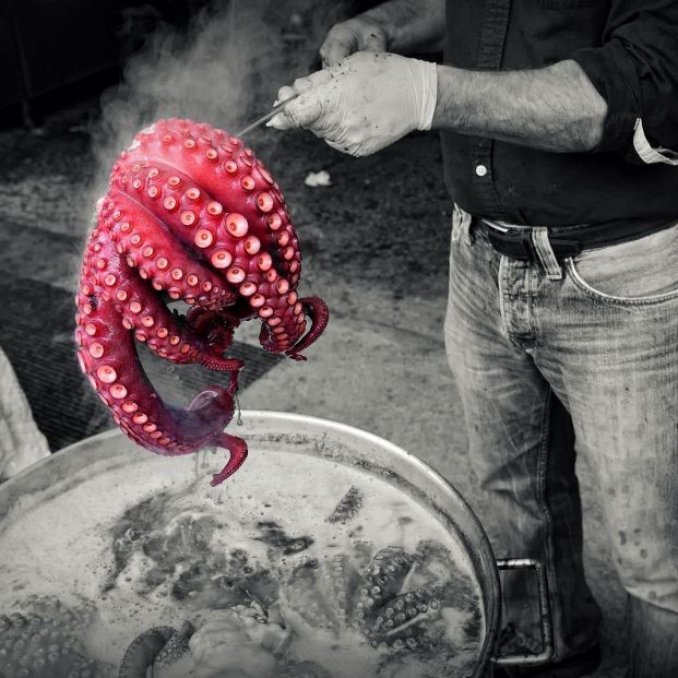 Preparación de pulpo (bigstock)