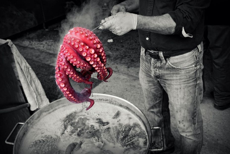 Preparación de pulpo (bigstock)