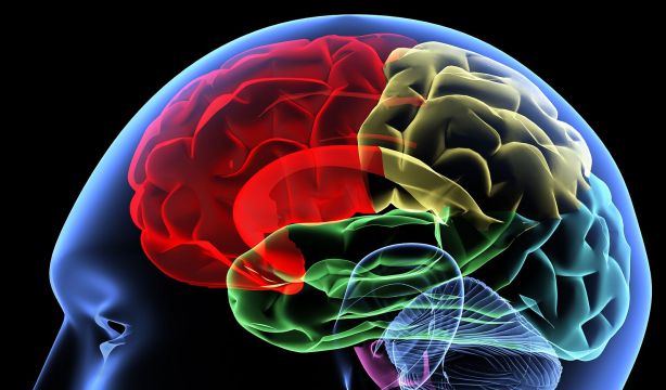 Tres biomarcadores combinados detectan señales tempranas de alzhéimer antes de la pérdida neuronal