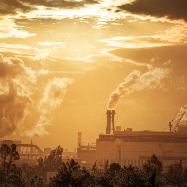 La contaminación, relacionada con la demencia, el párkinson y el alzhéimer