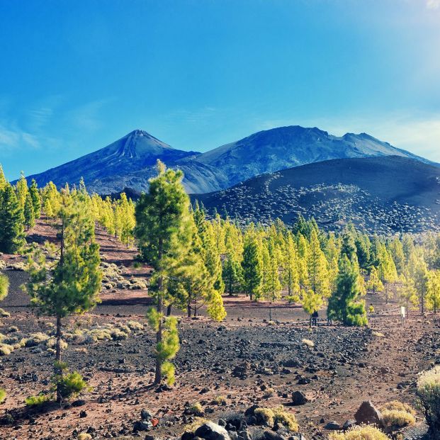 Estos son los Parques Nacionales en España que hay que visitar al menos una vez en la vida. Foto: bigstock Estos son los Parques Nacionales en España que hay que visitar al menos una vez en la vida. Foto: bigstock