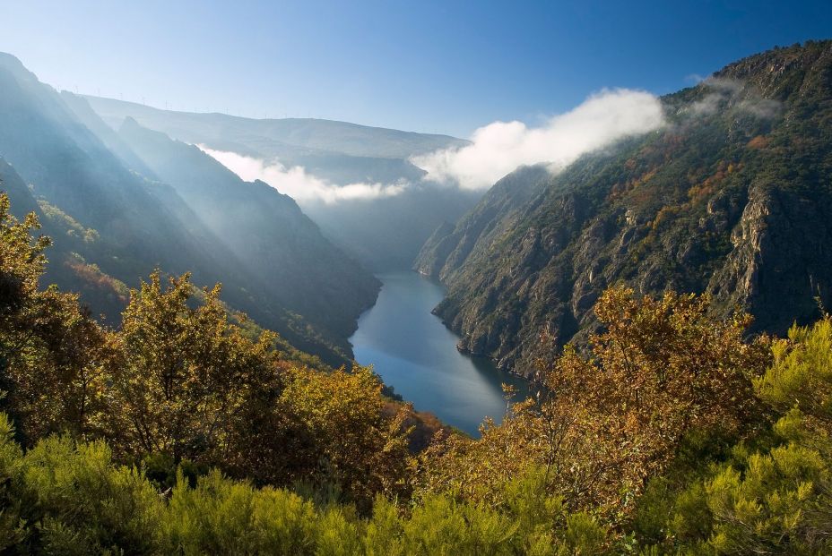 Los pensionistas predominan como dueños del monte en Galicia. Foto: bigstock 