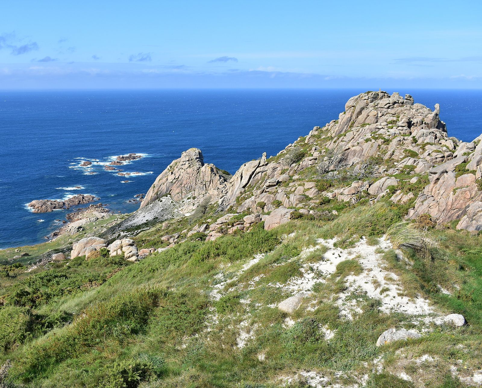 Los pensionistas predominan como dueños del monte en Galicia