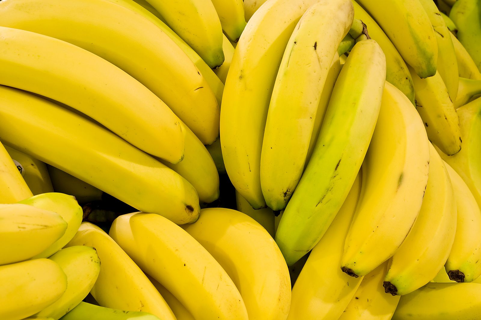 El truco del frutero más viral para que los plátanos no se pongan negros El truco del frutero más viral para que los plátanos no se pongan negros