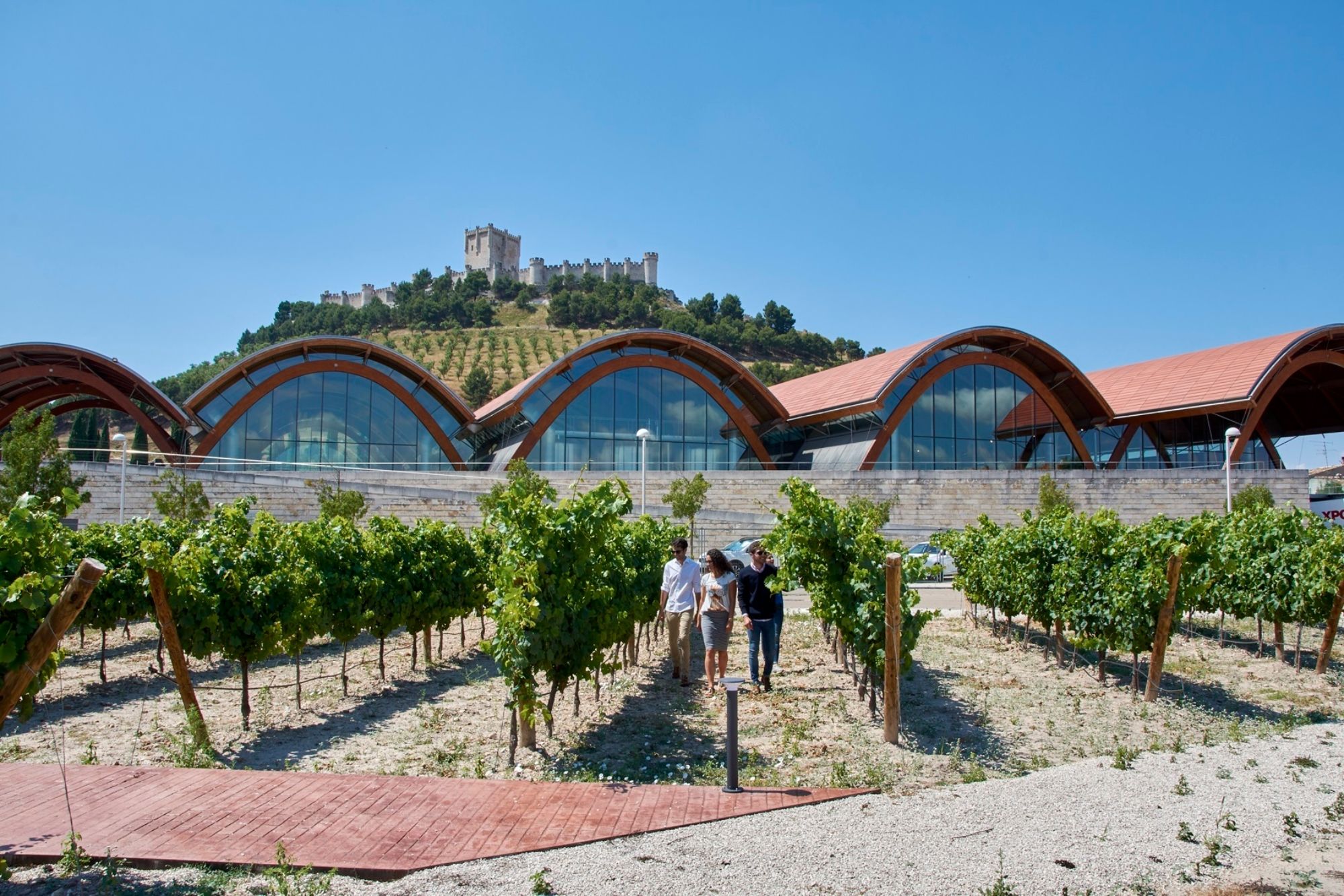 Esta es la mejor bodega de España, según 'National Geographic': está en Valladolid (Europa Press) Esta es la mejor bodega de España, según 'National Geographic': está en Valladolid (Europa Press)