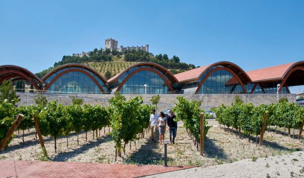 Esta es la mejor bodega de España, según 'National Geographic': está en Valladolid (Europa Press)