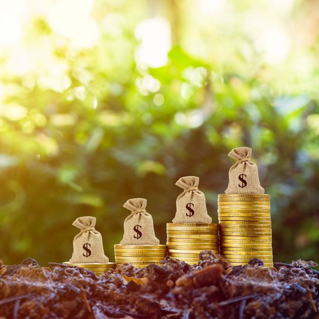 La inversión a largo plazo se consolida como opción segura ante la caída de los tipos de interés La inversión a largo plazo se consolida como opción segura ante la caída de los tipos de interés