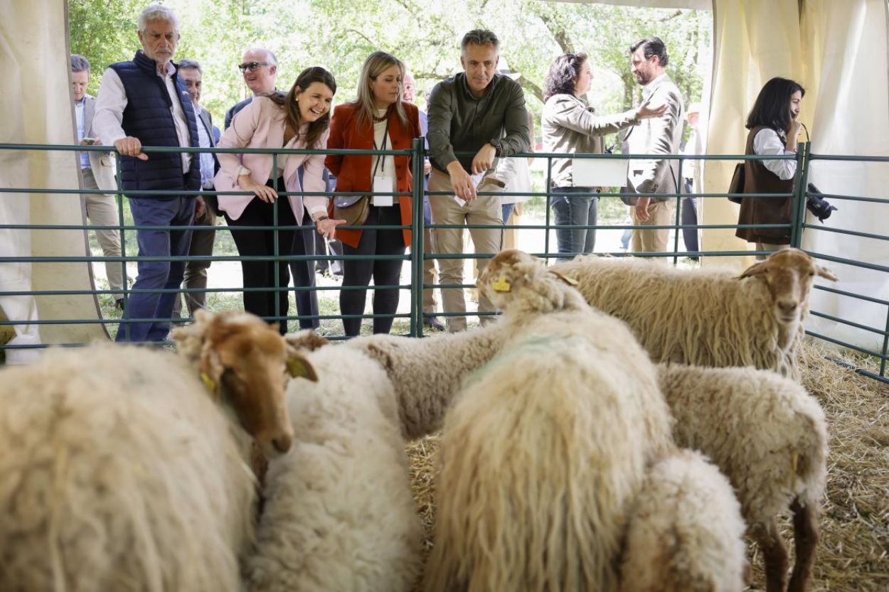 "Pocas capitales europeas tienen la suerte de Madrid de tener campo a pocos kilómetros de su centro"