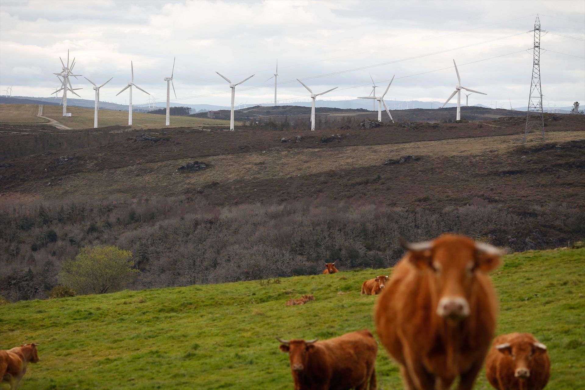 Una red eléctrica renovable para la España vaciada