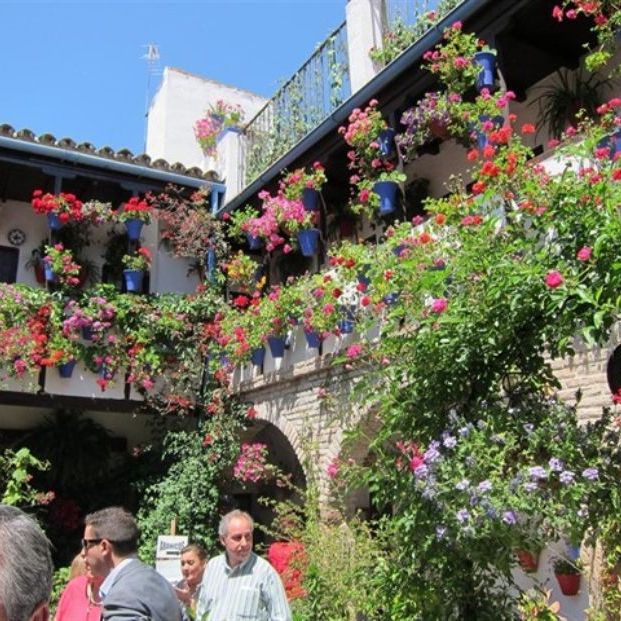 Patio cordobés de la Calle San Basilio en la Fiesta de los Patios (Europa Press)