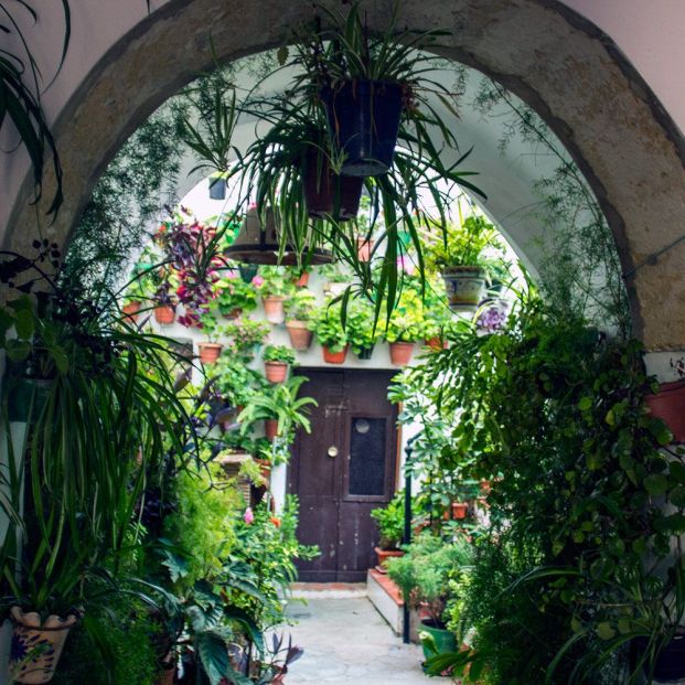 Patio interior en Vejer de La Frontera (Turismo de Cádiz)