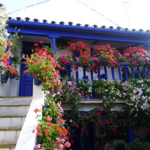 Casa patio Calle San Juan de Palomares en Córdoba.