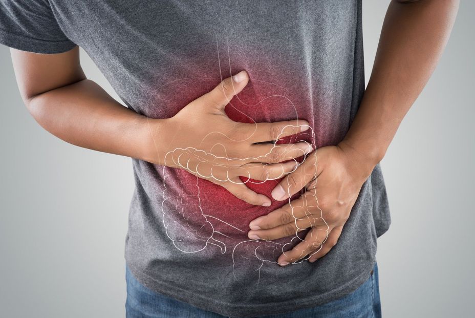 bigstock The Photo Of Large Intestine I 238624432 bigstock The Photo Of Large Intestine I 238624432