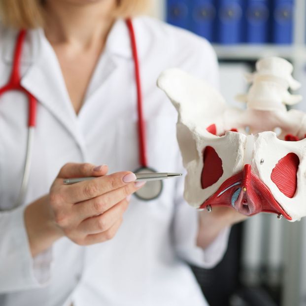 bigstock Gynecologist Doctor Holds Mode 452471431 bigstock Gynecologist Doctor Holds Mode 452471431