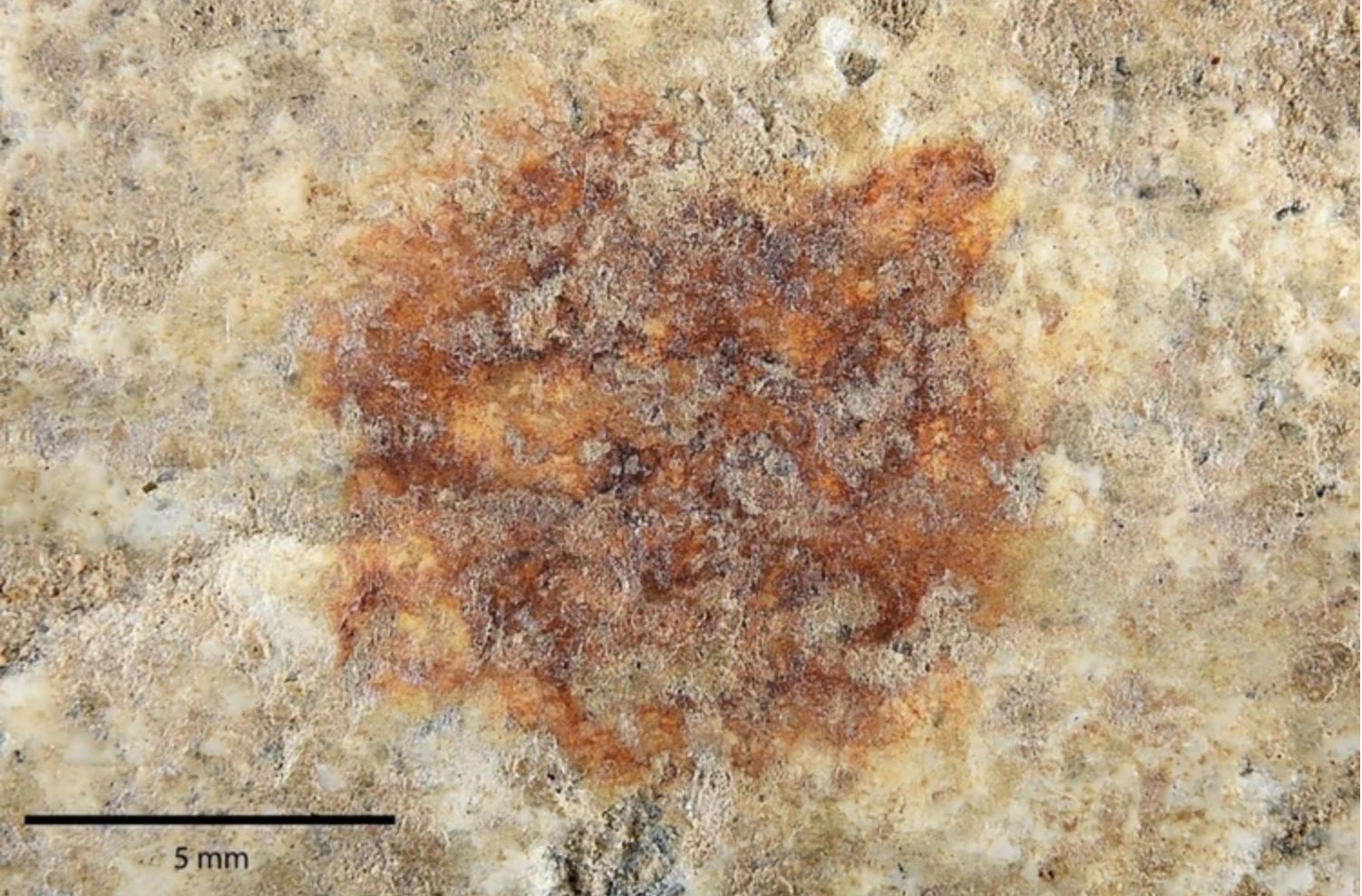 Hallazgo histórico: descubren la huella dactilar humana más antigua de Europa en Segovia