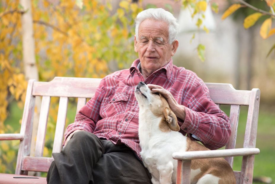 ¿Cómo proteger a tu mascota en el testamento?