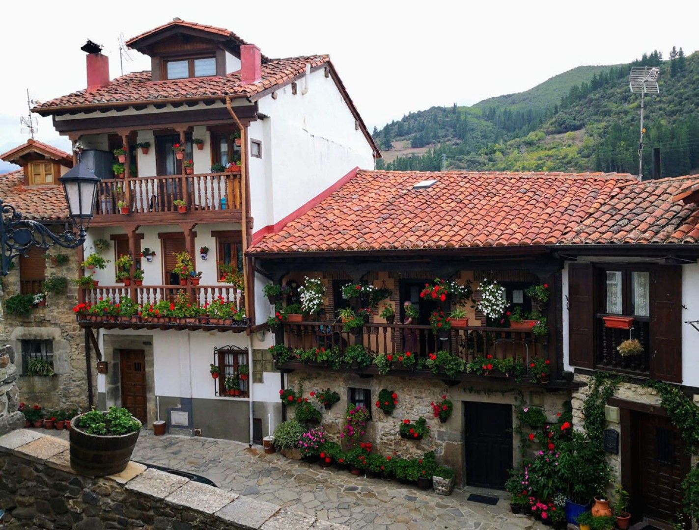 Potes Potes