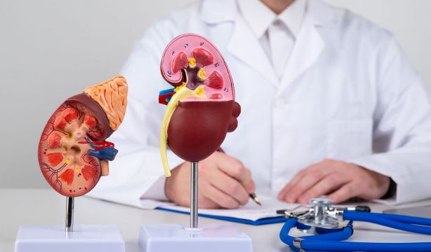 Al descubierto un biomarcador crucial de la insuficiencia renal crónica. (Bigstock)