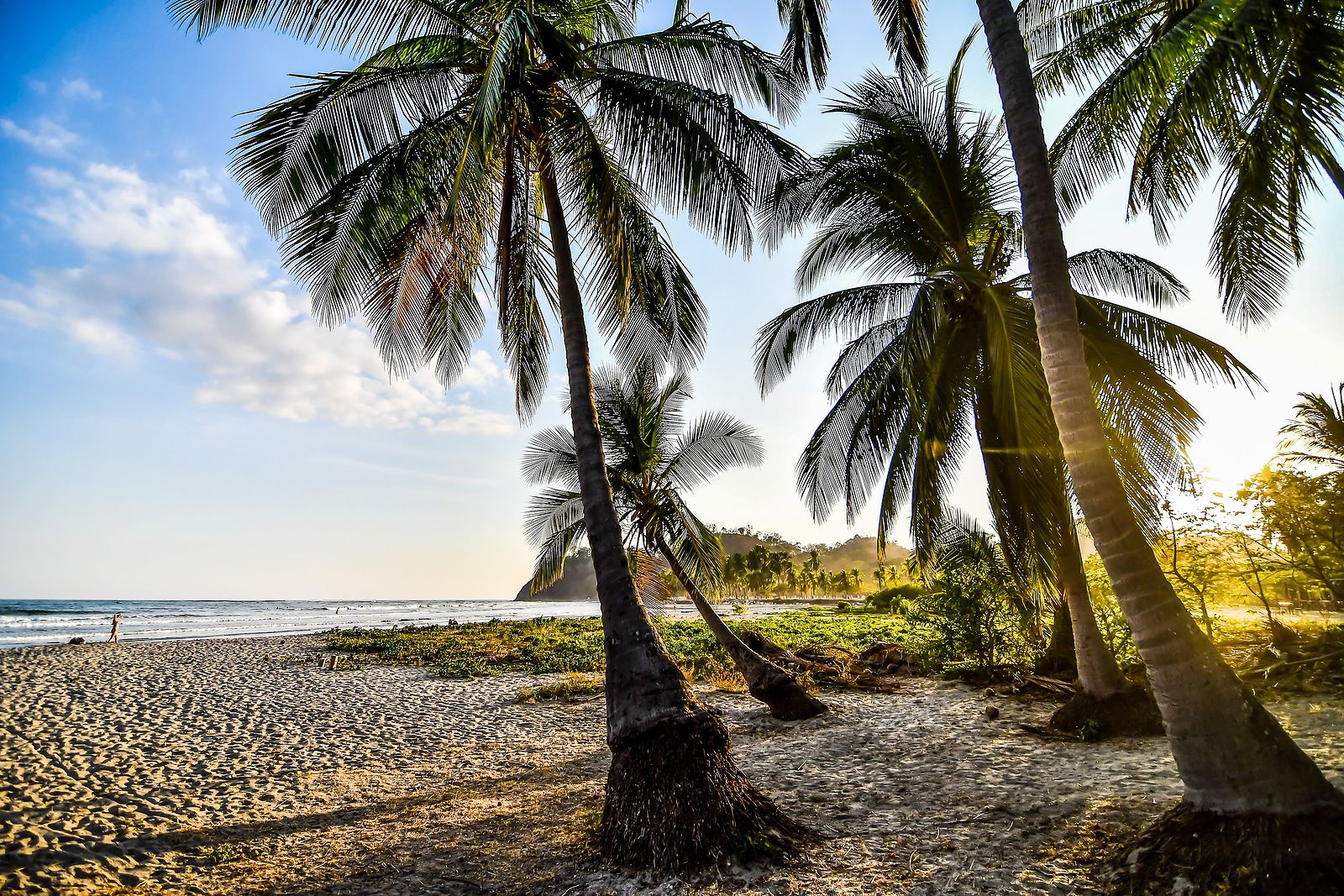 El secreto de la Zona Azul de Nicoya: un paraíso de bienestar y longevidad El secreto de la Zona Azul de Nicoya: un paraíso de bienestar y longevidad