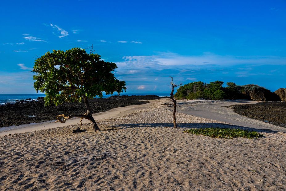 El secreto de la Zona Azul de Nicoya: un paraíso de bienestar y longevidad El secreto de la Zona Azul de Nicoya: un paraíso de bienestar y longevidad