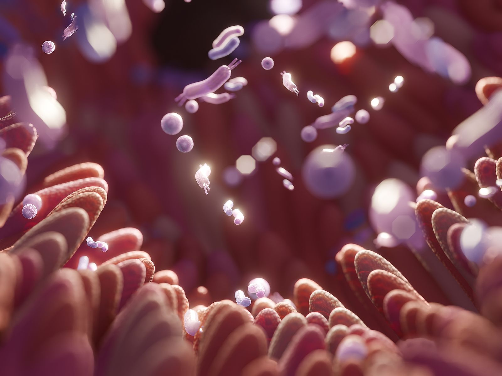 Descubren un nuevo motivo para mantener la salud de la microbiota. (Bigstock)