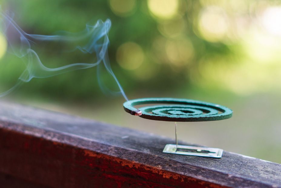 Conoce el método japonés para eliminar los mosquitos de casa Conoce el método japonés para eliminar los mosquitos de casa