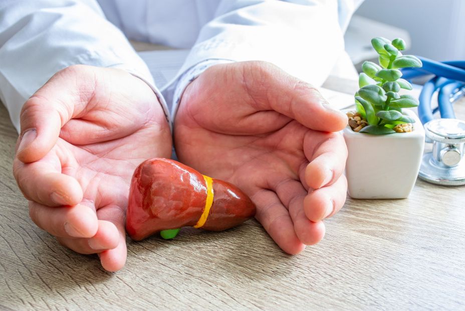 La enfermedad del hígado graso no alcohólico es una patología siliente. Bigstok La enfermedad del hígado graso no alcohólico es una patología siliente. Bigstok