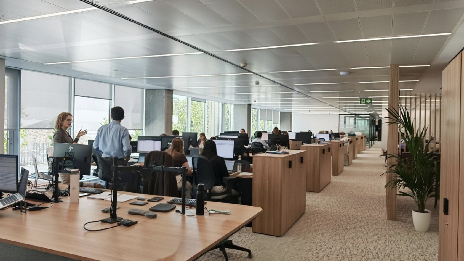 Hafesa estrena nueva sede corporativa para continuar con su crecimiento Hafesa estrena nueva sede corporativa para continuar con su crecimiento