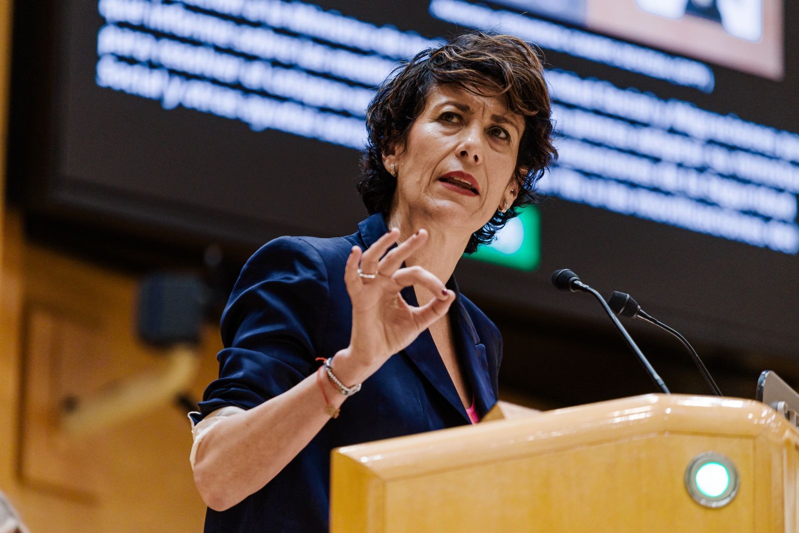 Elma Saiz descarta recortes en pensiones: "Muchos hogares viven de una sola paga"