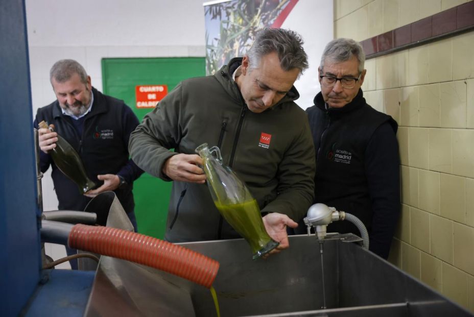 Aceite de Madrid DOP: el oro líquido más castizo se alza con los premios más prestigiosos: Foto: Comunidad de Madrid