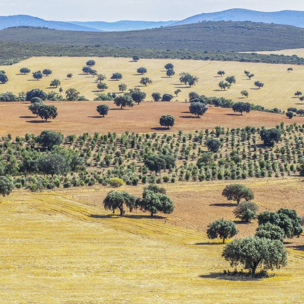 Parque Nacional de Cabañeros