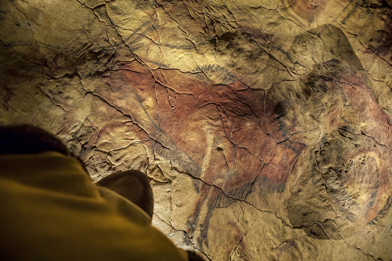 El Museo Arqueológico Nacional ofrece una nueva mirada del arte rupestre con Inteligencia Artificial