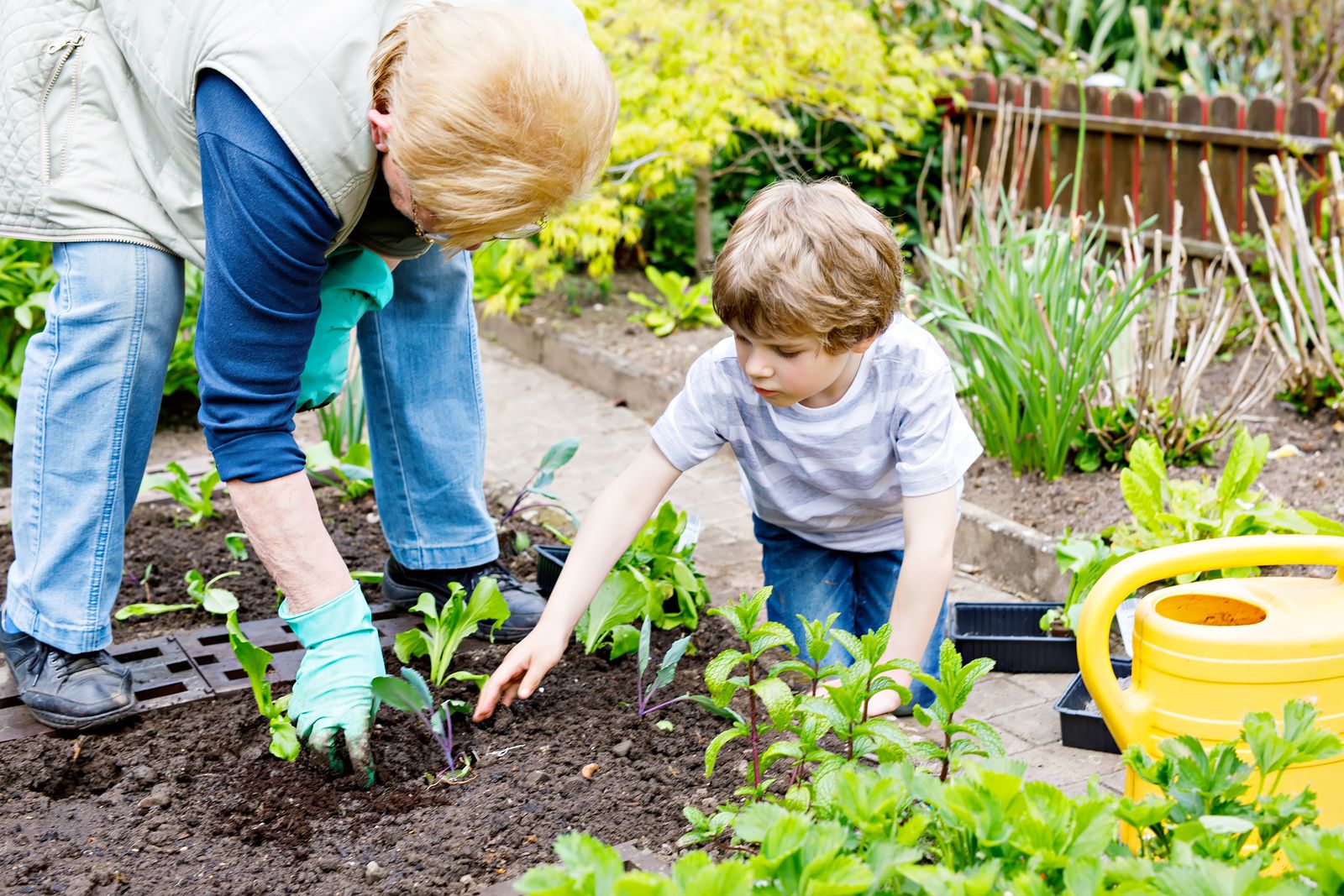 Semilleros de plantas con flor