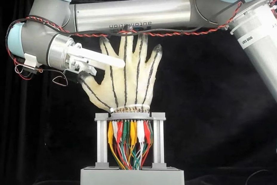Los robots ya sienten dolor gracias al desarrollo de una revolucionaria piel Los robots ya sienten dolor gracias al desarrollo de una revolucionaria piel