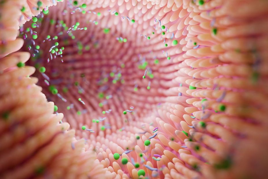bigstock Microbiome Intestine Factories 454289731 (1) bigstock Microbiome Intestine Factories 454289731 (1)