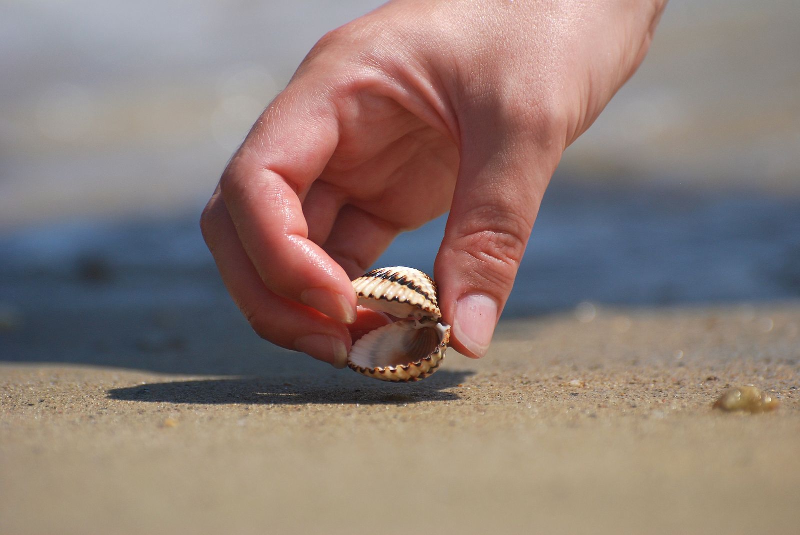Coger arena o conchas en la playa puede salirte muy caro: todas las multas a las que te enfrentas