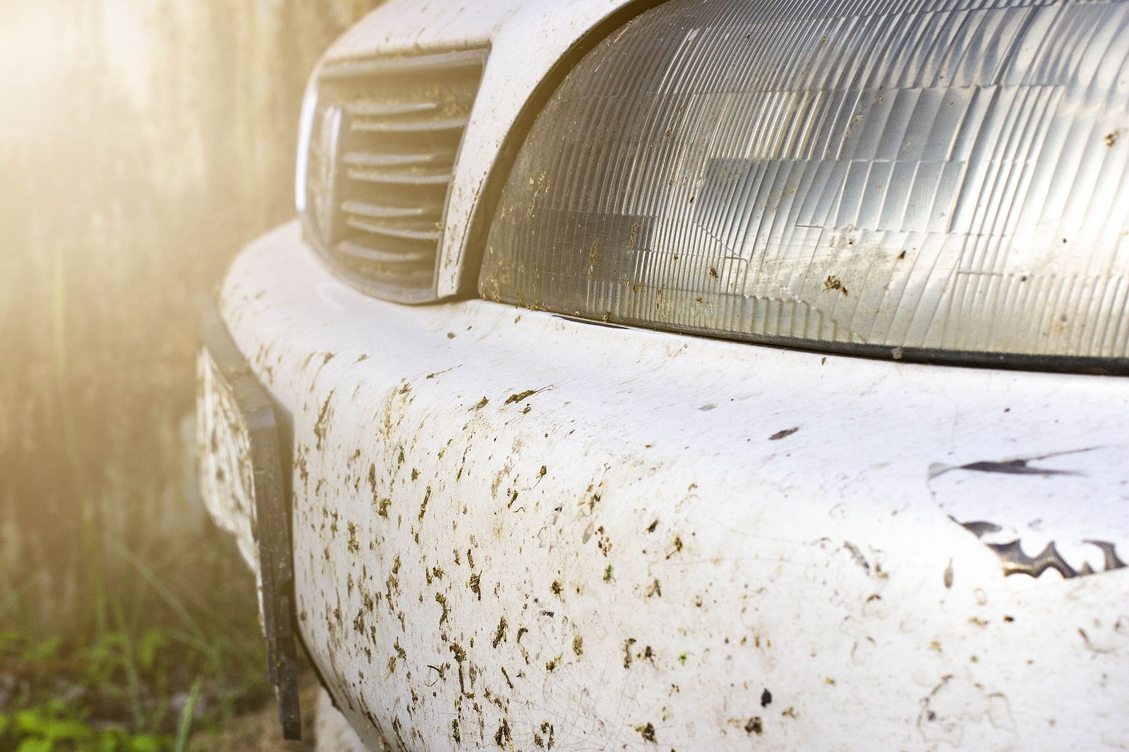 Líbrate de los mosquitos de una vez por todas en el cristal del coche o el casco de la moto
