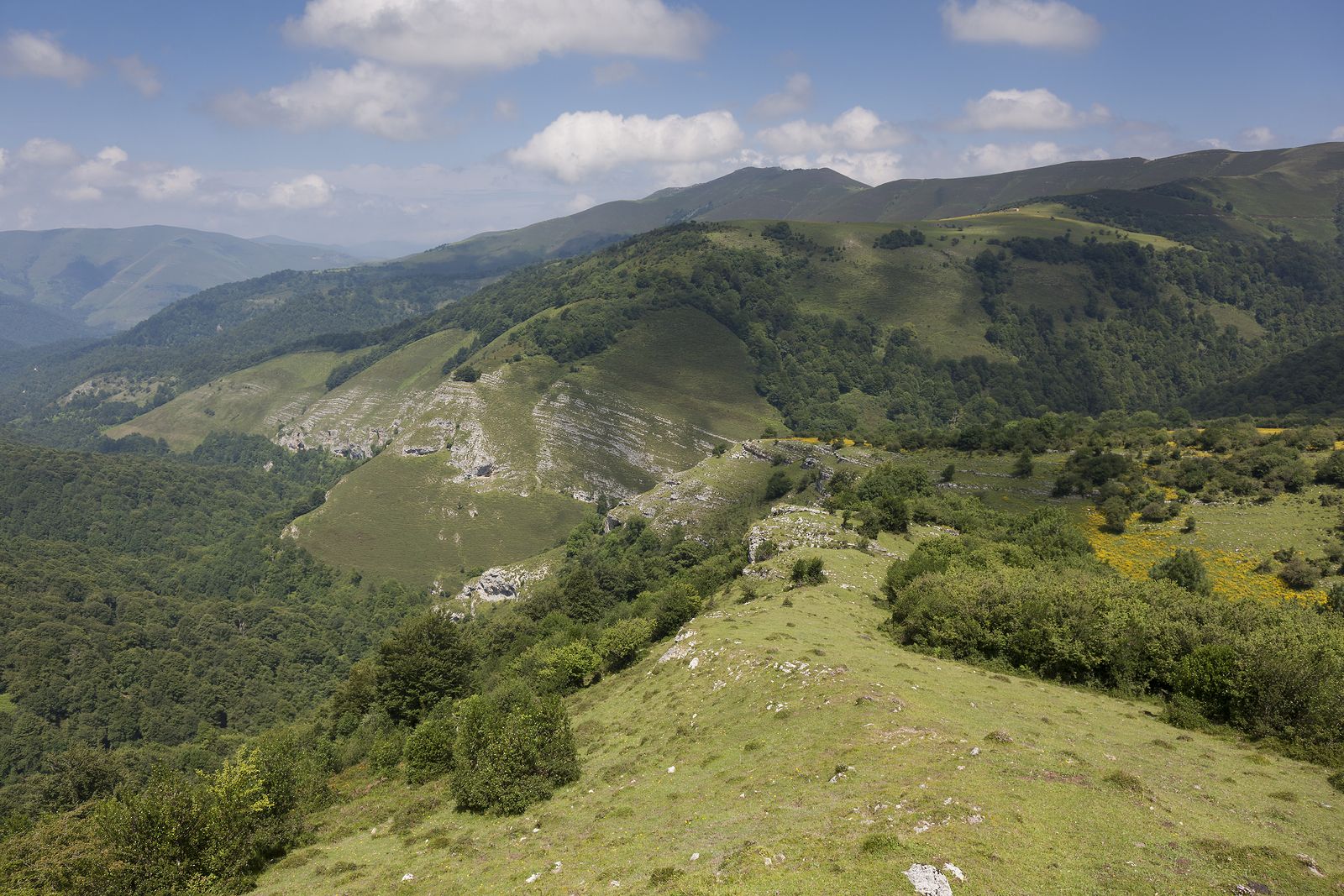 Parque Natural Saja-Besaya en la Cordillera Cantábrica